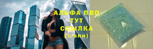 PSILOCYBIN Карпинск