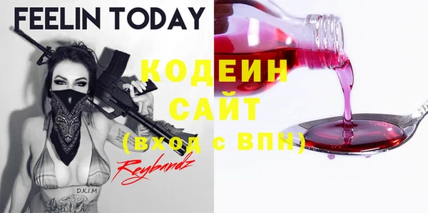 крисы Каменногорск