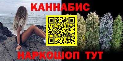 гашик Боровичи