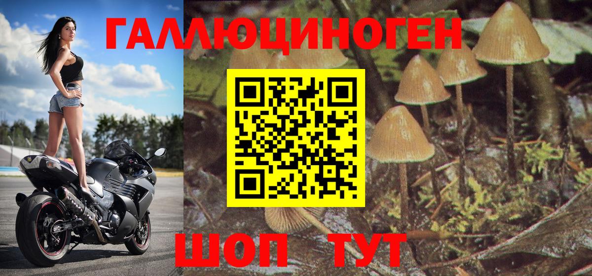 Псилоцибиновые грибы ЛСД Егорьевск