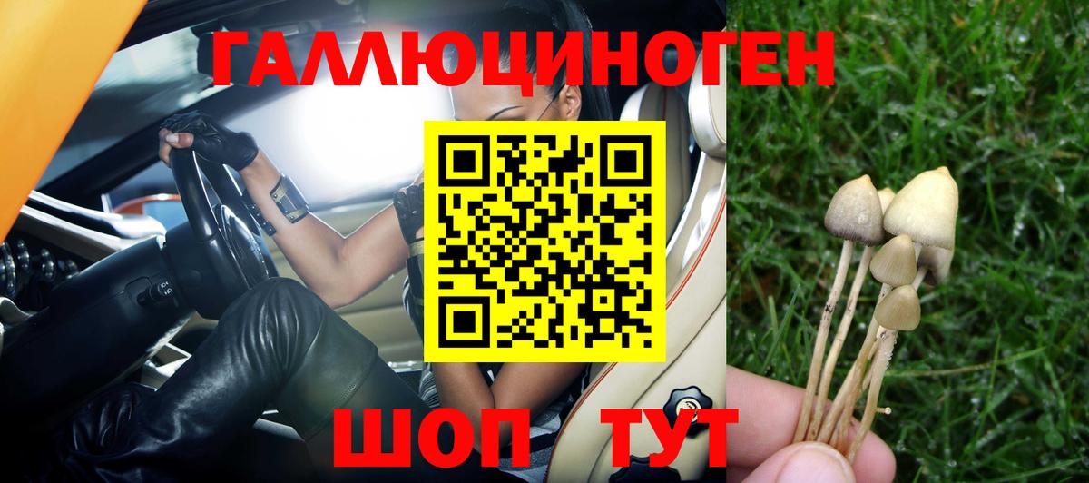 Псилоцибиновые грибы мицелий  Вход с VPN  где продают наркотики  Егорьевск 