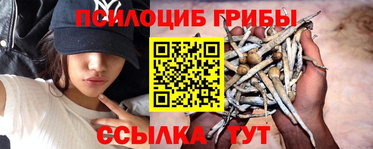 Псилоцибиновые грибы ЛСД Егорьевск